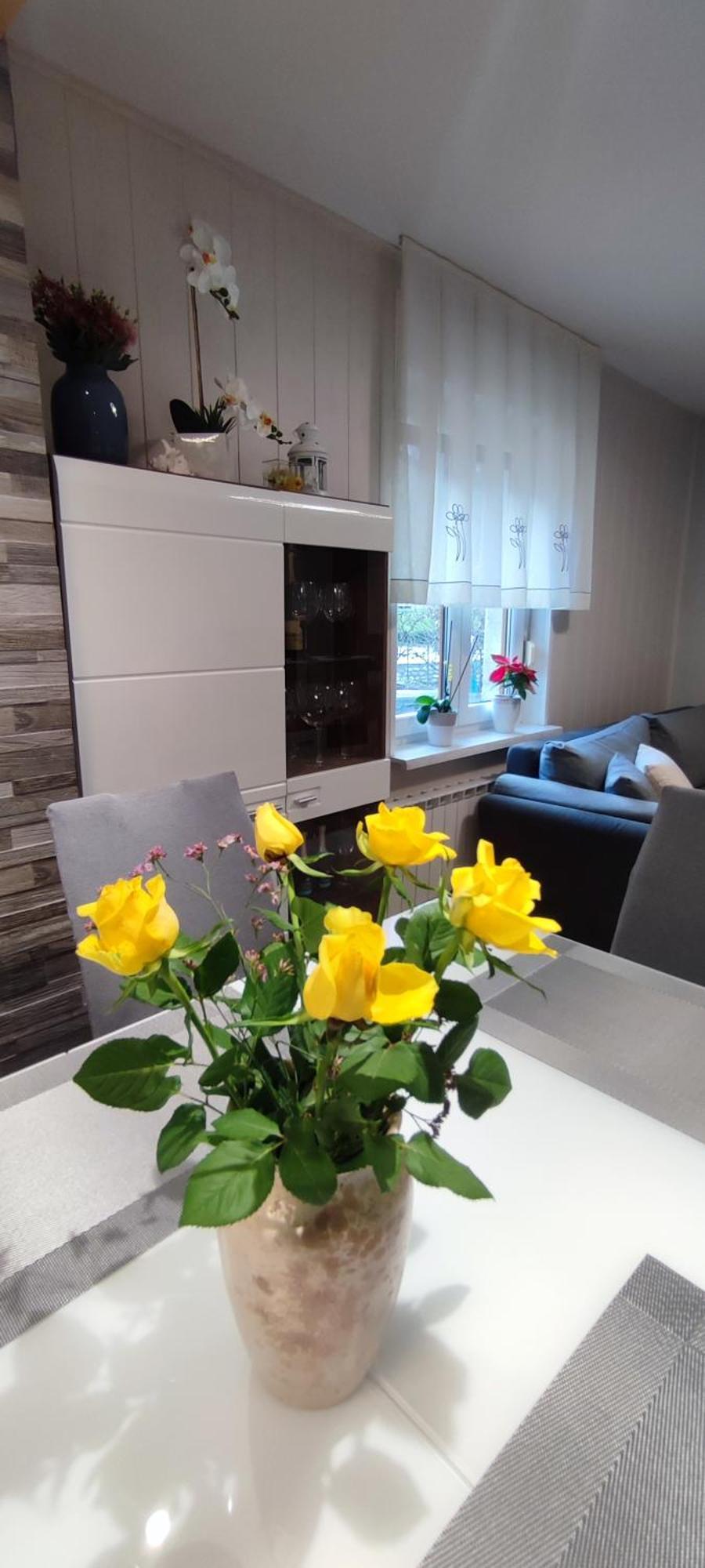 Apartma Soca Oasis Srpenica Εξωτερικό φωτογραφία